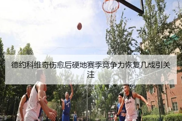 de-yue-ke-wei-qi-shang-yu-hou-ying-di-sai-ji-jing-zheng-li-hui-fu-ji-cheng-yin-guan-zhu-3-653.jpg